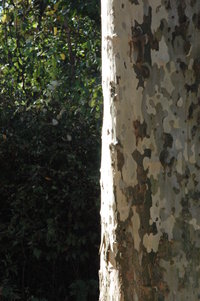 ./08-10-19.1557.DSC_0113.jpg missing